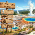 Yellowstone Puns