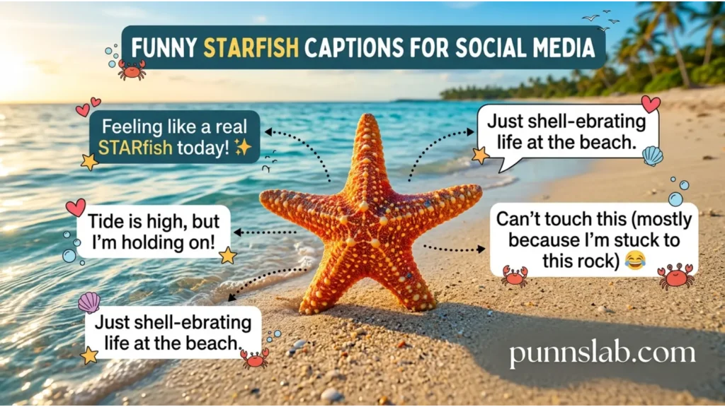 Funny Starfish Captions For Social Media